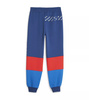 Pantaloni de trening pentru bărbați Puma BMW MMS SDS [621867 04], albastru.