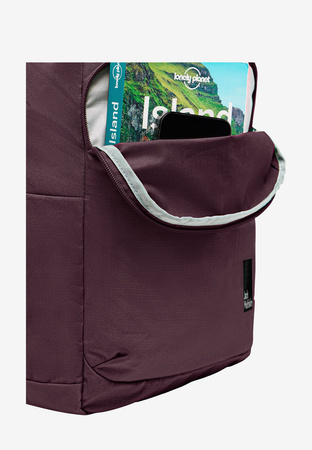 Rucsac sport Jack Wolfskin Terraview pentru școală, vișiniu