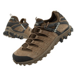 Pantofi de trekking pentru bărbați Aku Alterra Lite GORE-TEX [715 073], maro.