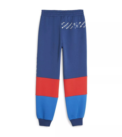 Pantaloni de trening pentru bărbați Puma BMW MMS SDS [621867 04], albastru.