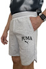 Pantaloni scurți bărbați Pantaloni scurți din bumbac Puma Squad [678975 04], gri.
