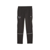 Pantaloni de trening pentru bărbați Puma BMW MMS [621223 01], negri.