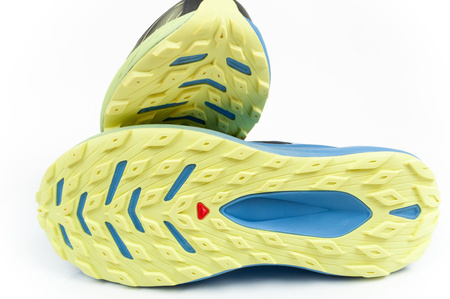 Pantofi sport pentru bărbați Salomon Glide Max [470453], multicolori.