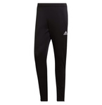 Pantaloni de trening pentru bărbați Adidas Entrada 22 [HC0332], negri.
