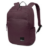Rucsac sport Jack Wolfskin Terraview pentru școală, vișiniu